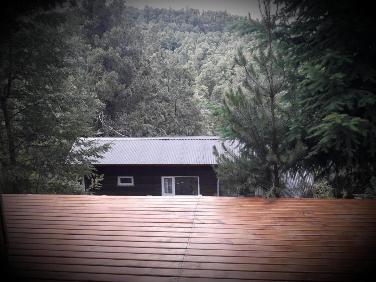 Cabana Del Morro San Martín de los Andes 外观 照片